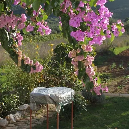 Apartamento By The Sea Mrljane, Pasman - 8463 Neviđane